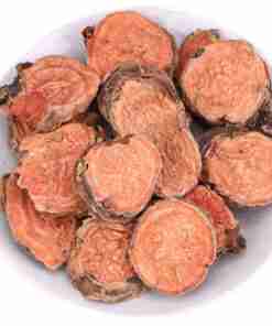 rodiola rosea plein