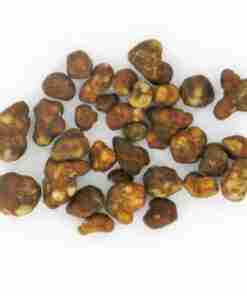 Les Truffes Magiques Hollandia