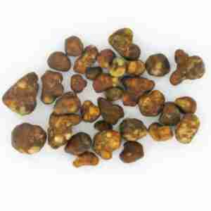 Les Truffes Magiques Hollandia