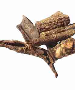 mulungu-albero
