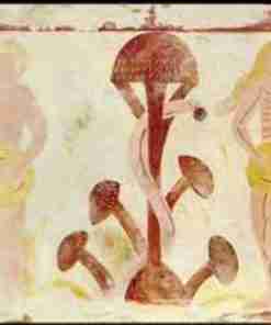Amanita-Muscaria-adamo-eva-croce