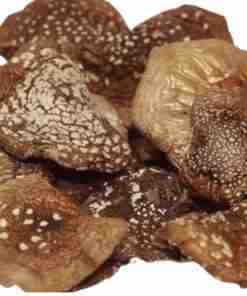 Amanita-Phanterina-Chapelles-Cap-Divine