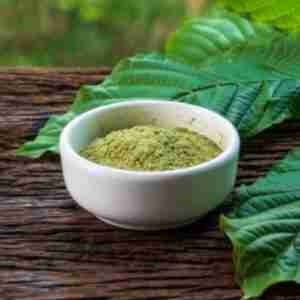 Kratom-Vert-Maeng Da Mitragyna-Speciosa-2