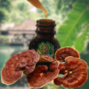 Le Reishi Ling Zhi