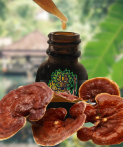 Le Reishi Ling Zhi