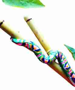 Kuripe Grand Serpent - Mixcolor Primordial De Bambou